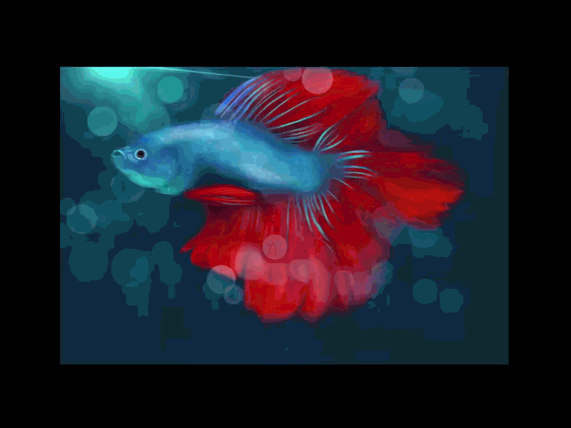 pezgif